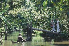 Canoe ride on one of the countless canals of the "Kuttanad", the rice bowl of Kerala.